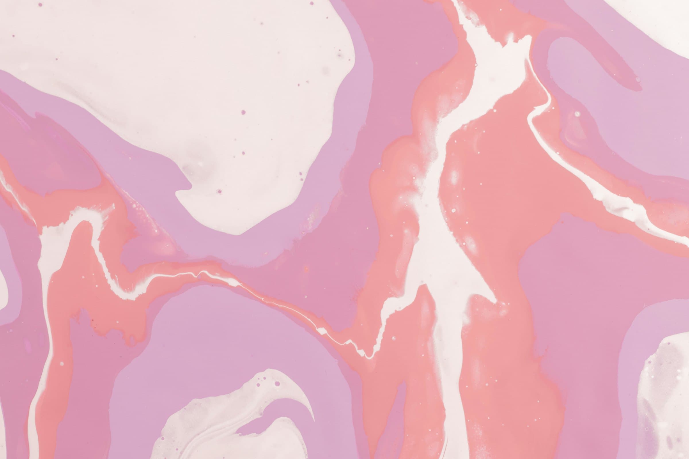 Digitale Umsetzung für Bund, Länder und öffentliche Träger